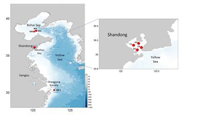 Definition of a High-Resolution Molecular Marker for Tracking the Genetic Diversity of the Harmful <mark class="highlighted">Algal Species</mark> Eucampia zodiacus Through Comparative Analysis of Mitochondrial Genomes